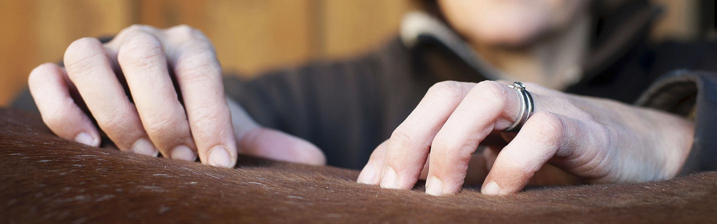 Frau Dr. Neff bei einer osteopatischen Anwendung
